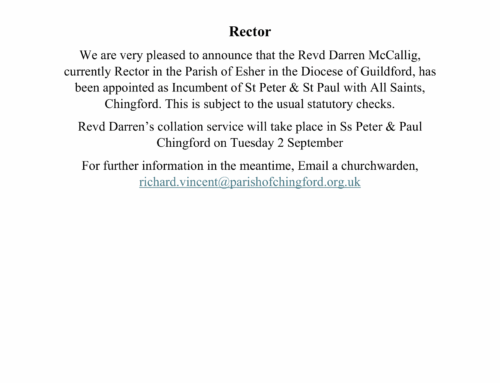 Rector situation